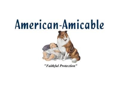 American Amicable

